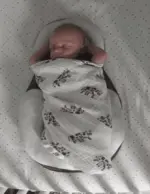 PORTABLE BABY BED