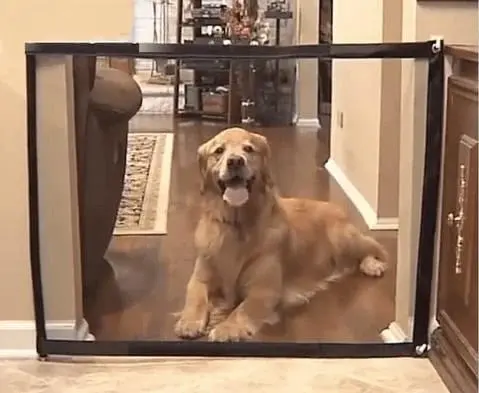 Dog Safety Gate